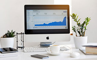 戴维·帕特森的攻守一体型打法，令袋鼠队在攻防两端展现实力，戴维森vs泰拳手