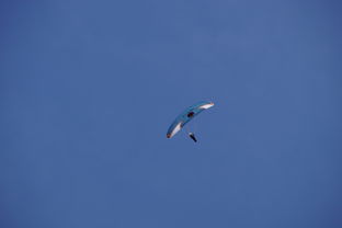 开云体育登陆入口-全国青少年水上滑翔锦标赛天津盛大开幕，水上滑翔机价格