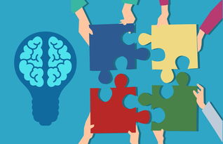 开云官网入口-青少年运动损伤防护知识普及策略及效果评估,青少年运动损伤防护知识普及策略及效果评估