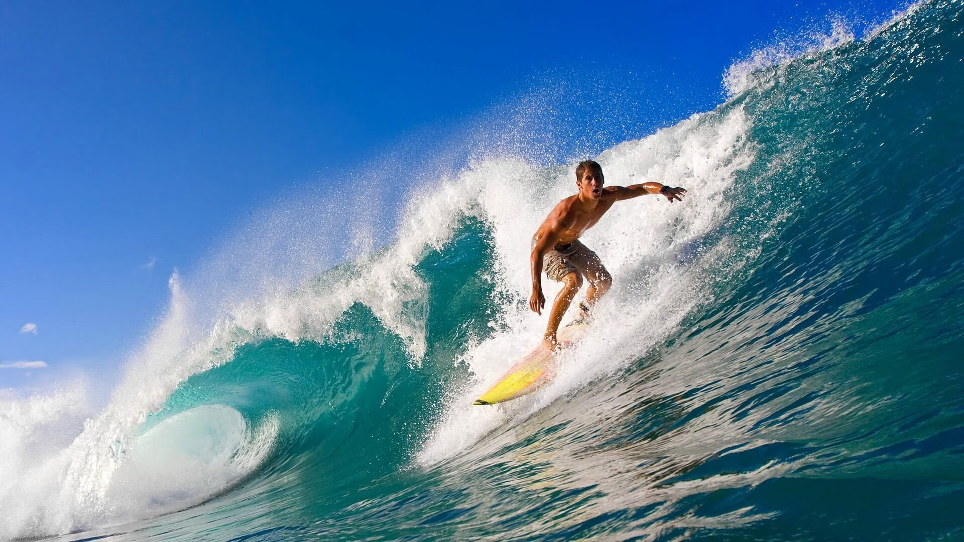 体育新闻中心通报各大省市训练基地运行情况，省级体育训练基地
